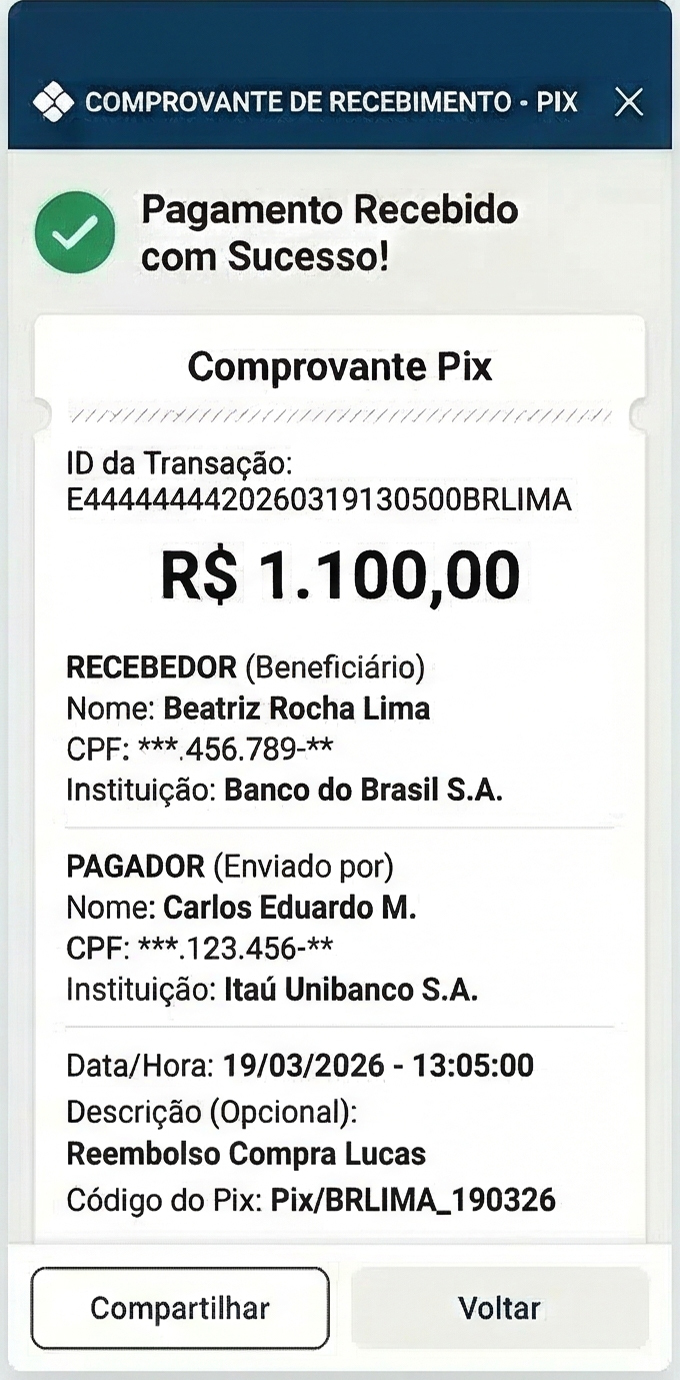 balloon 5208 