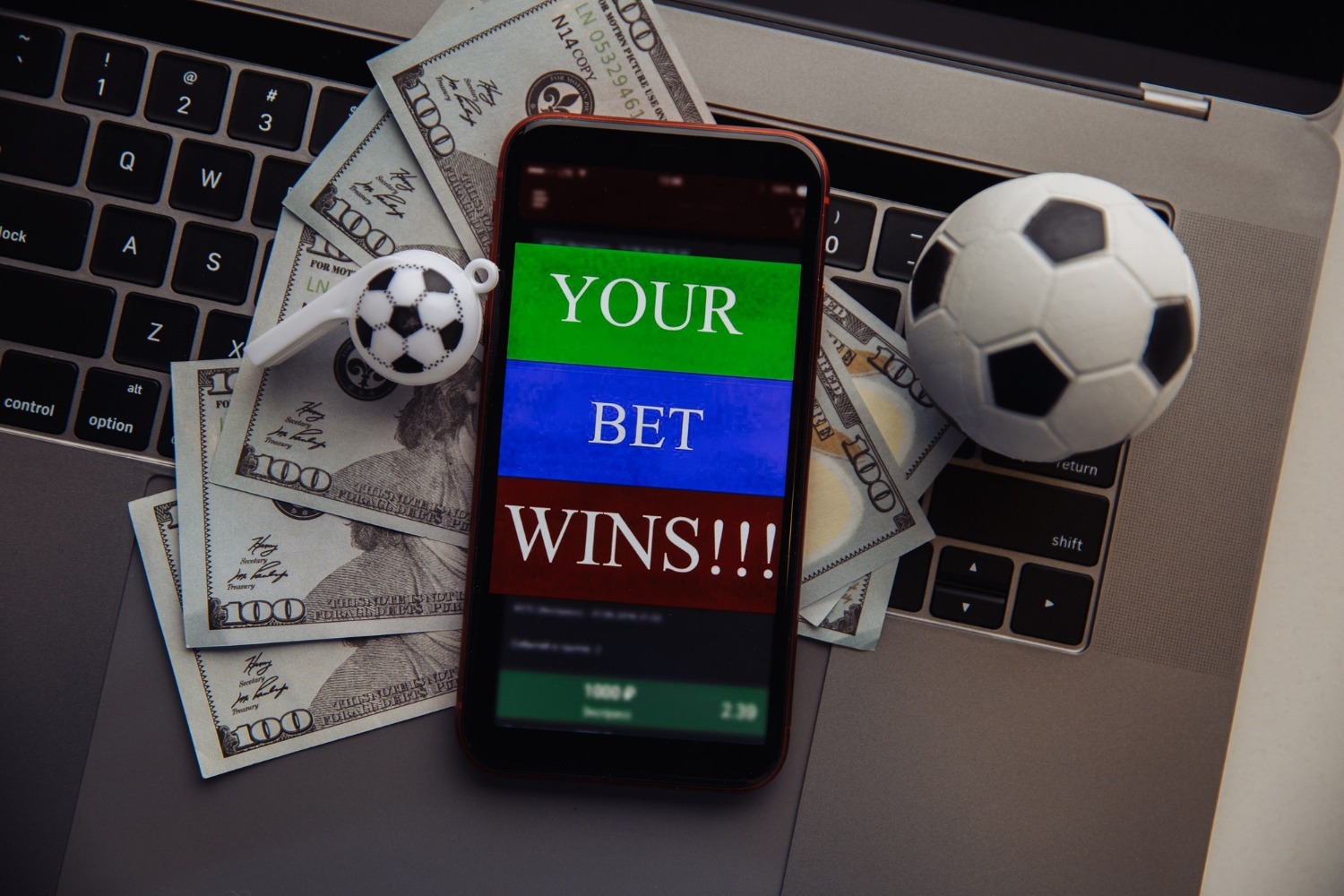 bingo online hosting 